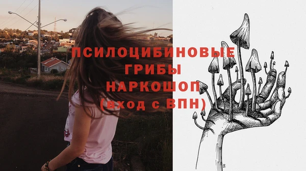 мяу мяу мука Медвежьегорск