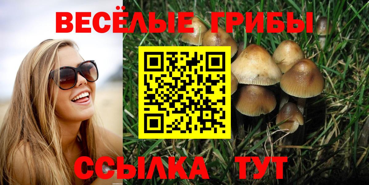 Одинцово  Галлюциногенные грибы Psilocybine cubensis  купить наркоту  Вход с VPN 