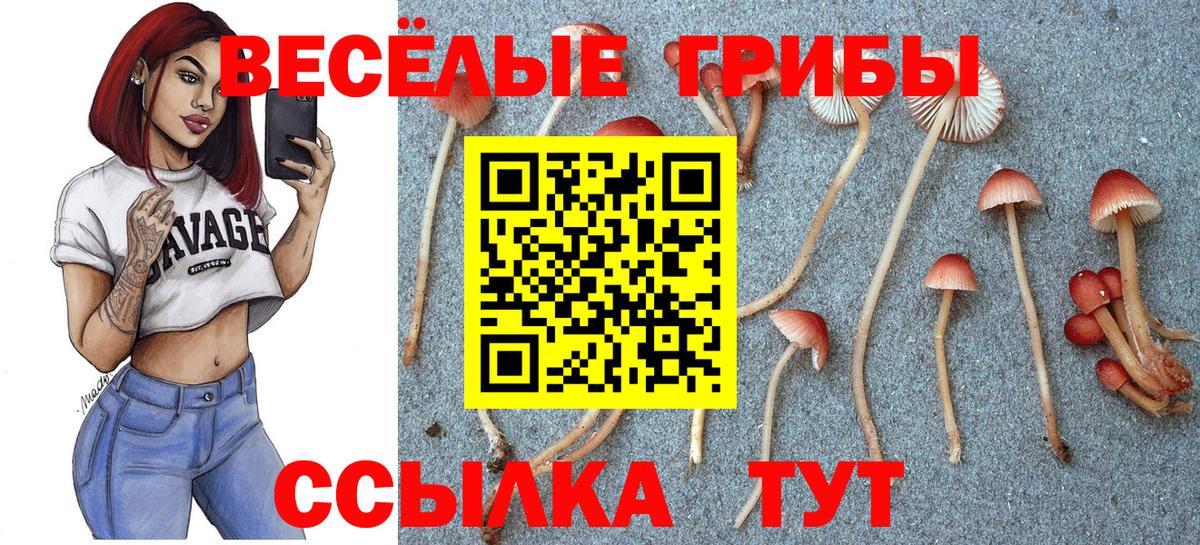 Галлюциногенные грибы MAGIC MUSHROOMS Одинцово